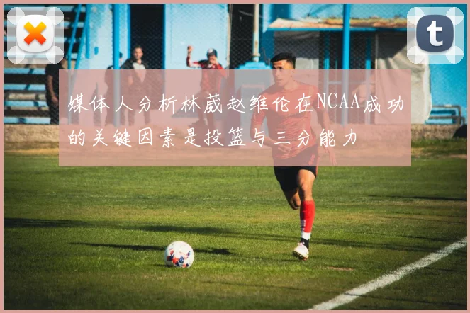 媒体人分析林葳赵维伦在NCAA成功的关键因素是投篮与三分能力
