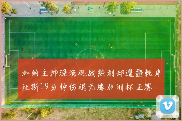 加纳主帅现场观战热刺却遭噩耗库杜斯19分钟伤退无缘非洲杯正赛